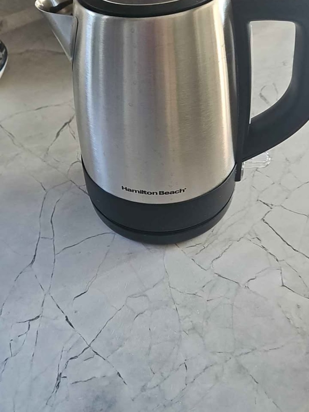 Hamilton Beach Stainless Steel Electric Kettle with Black Handle